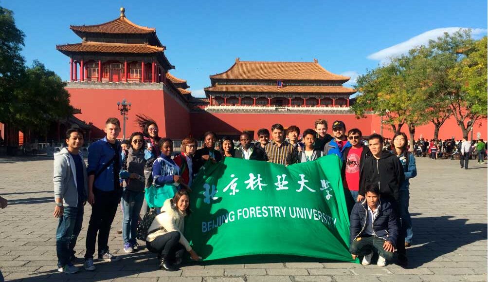 Universidad Forestal de Beijing (Beijing Forestry University)