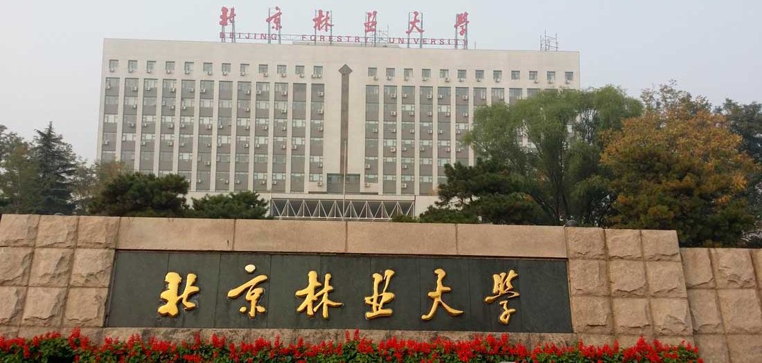 Beijing Forestry University Beijing Forestry University