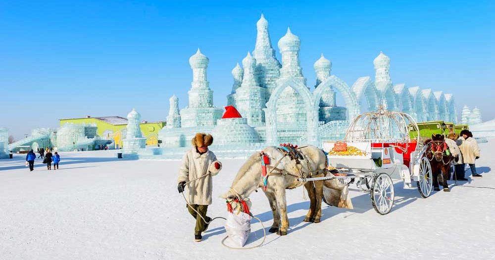 Harbin Universities Study in Harbin