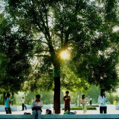 Henan Normal University how to enroll Henan Normal University how to enroll