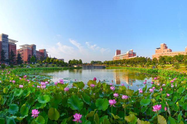 Henan Polytechnic University scholarships Henan Polytechnic University scholarships