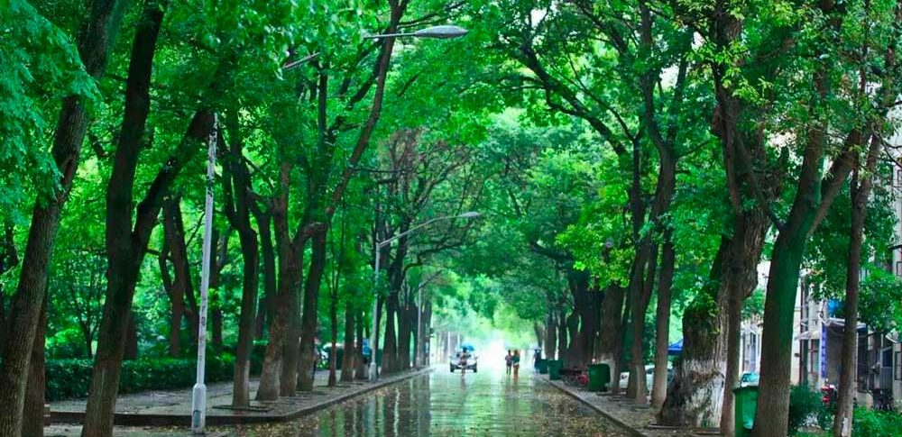 Hubei University