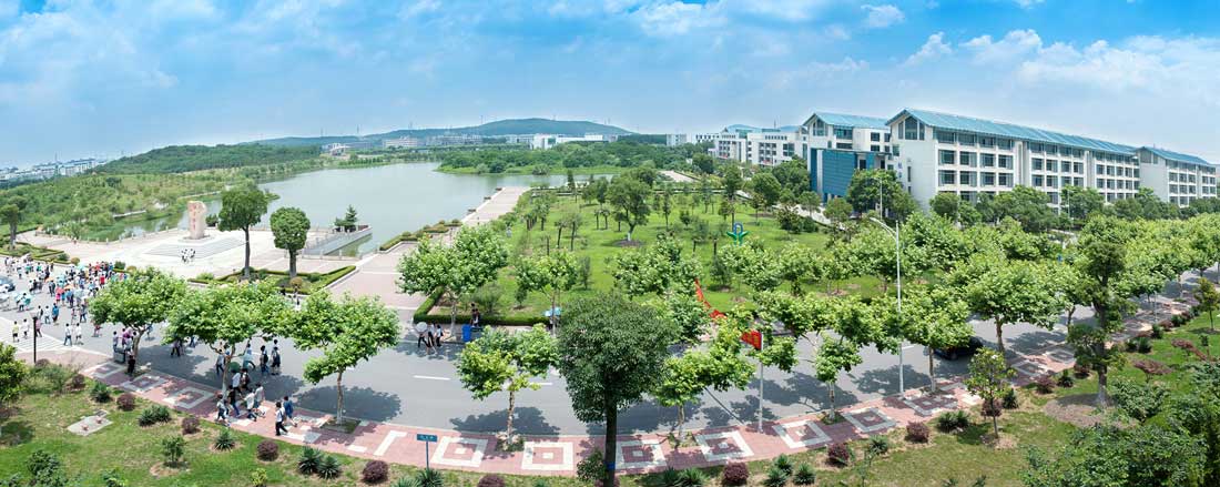 nanjing insitute нанкинский институт nanjing insitute нанкинский институт