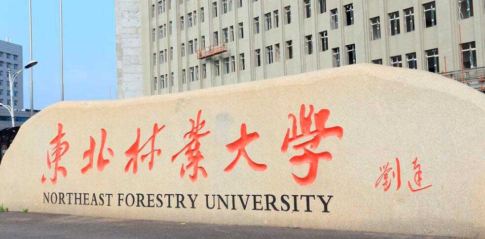 Northeast Forestry University Northeast Forestry University