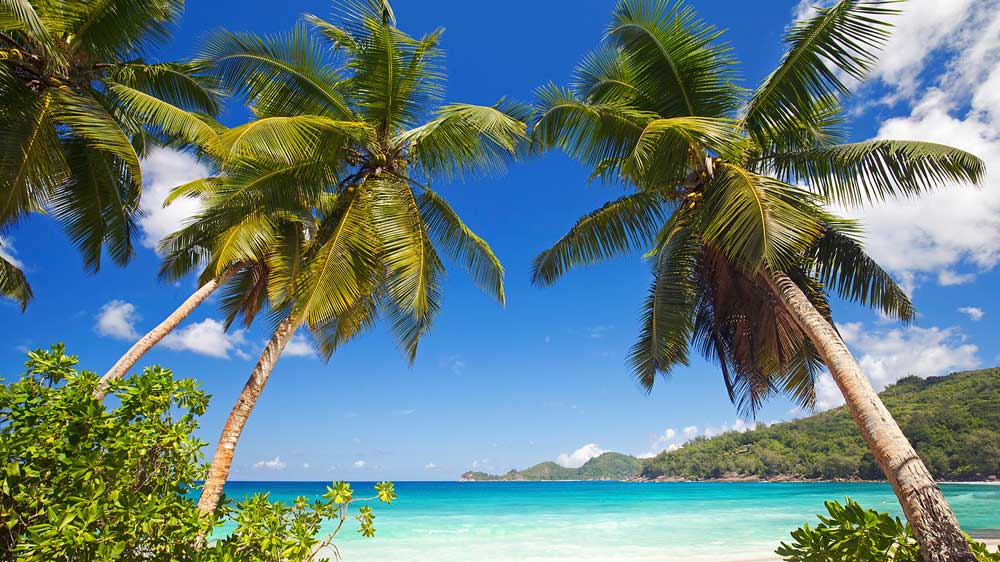 Study in Sanya. Sanya Universities Study in Sanya. Sanya Universities