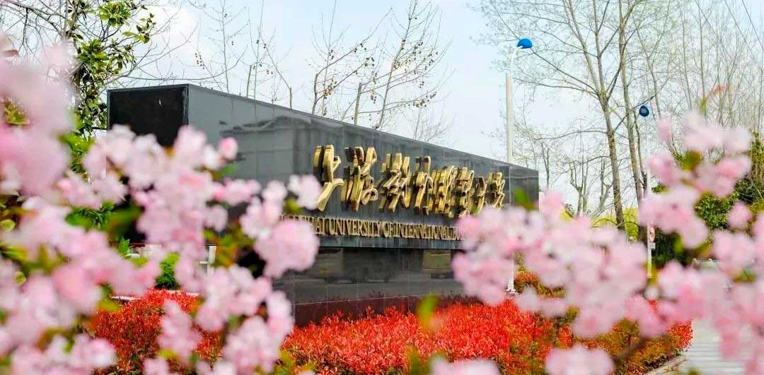 Шанхайский университет международного бизнеса и экономики