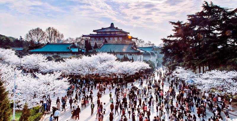 How to Choose a City and University to Study in China? How to Choose a City and University to Study in China?