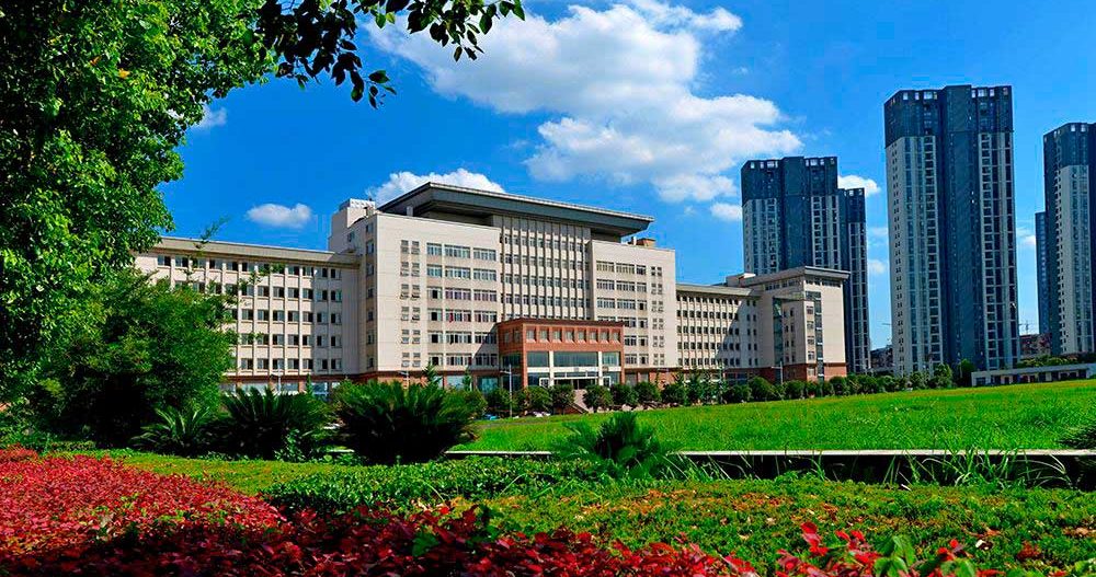 Chinese Wuhan institute of Technology Chinese Wuhan institute of Technology