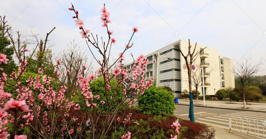 Wuhan University of Technology Wuhan University of Technology