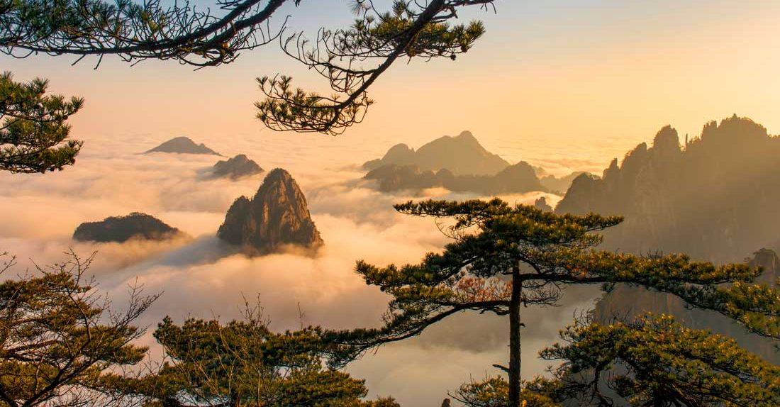 Yellow Mountain Yellow Mountain