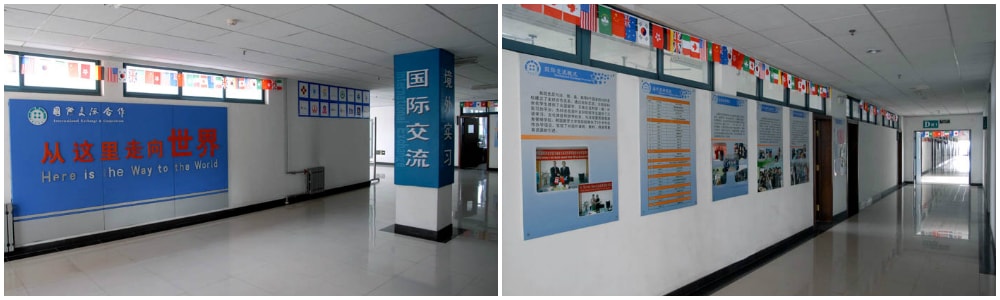 zibo institute zibo institute